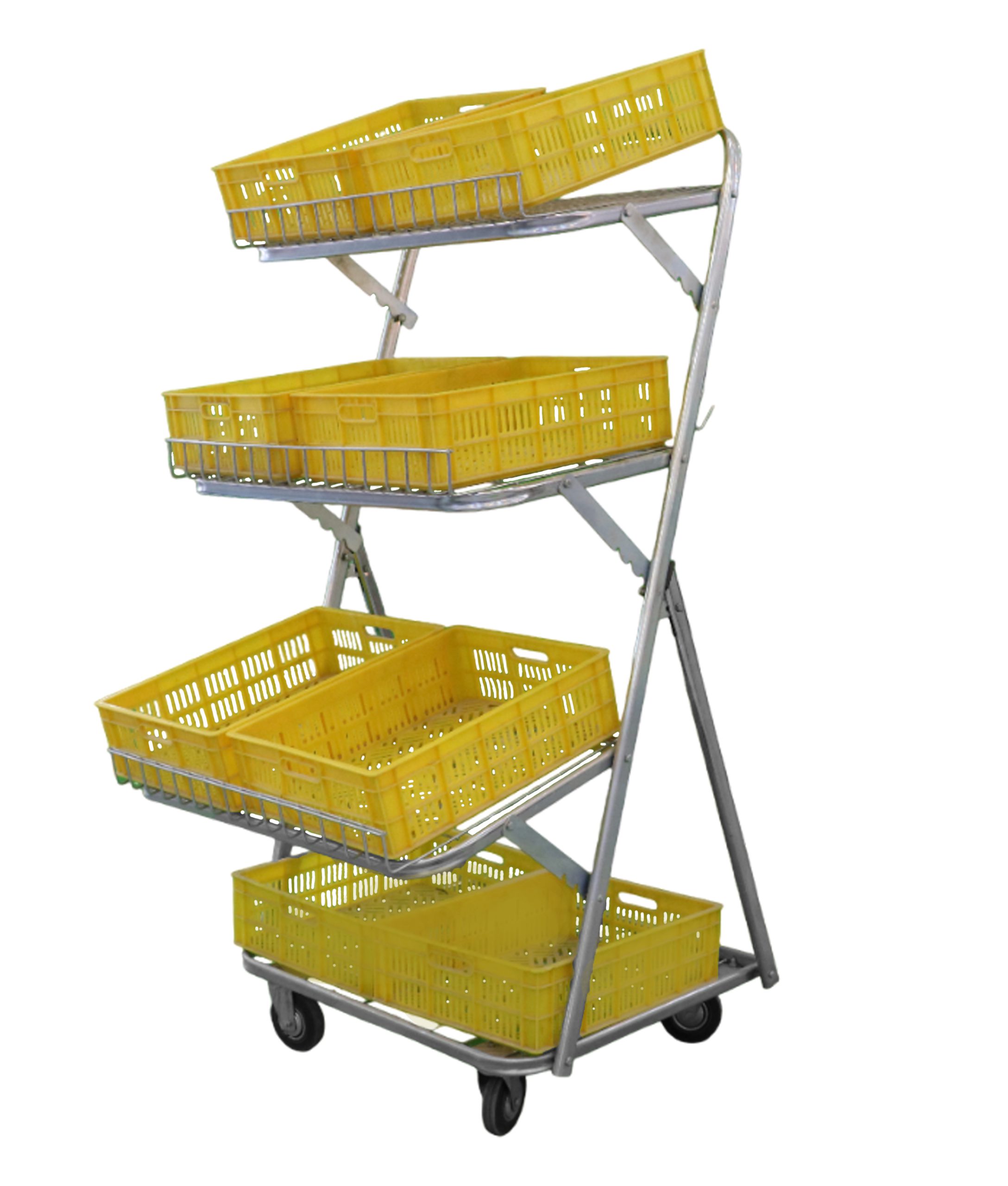 7-scaled (1) استند میوه 8 سبد - Image 1